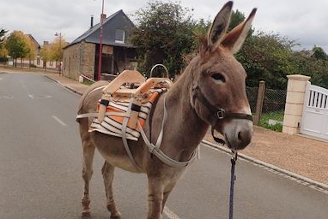 Bastillon, bât pour âne, Randoline, équipement et matériel pour ânes, chevaux