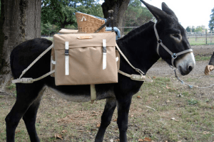 sacoche pour âne