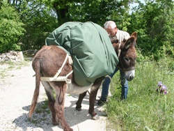 Capucine, bâche protection