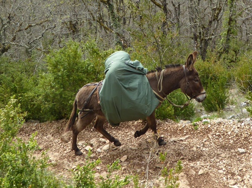 Capucine, bâche protection