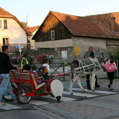 Escargoline Eselbus, à l'école en Escargoline