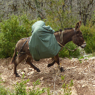 La bâche contre la pluie Capucine sur un âne en randonnée