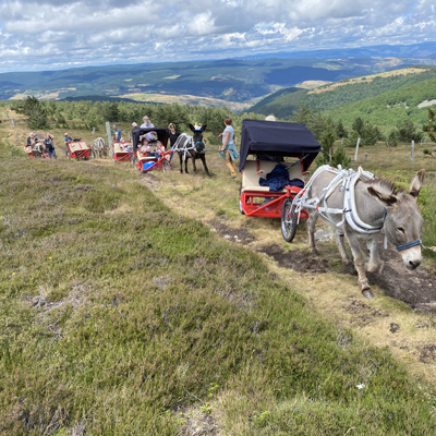 Montée au Mont Lozère de 5 Escargolines