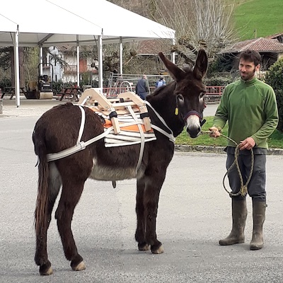 Bastillon, fabricant bât pour ânes, matériel de randonnée et travail ânes, chevaux, mules, portage enfant, portage bagages