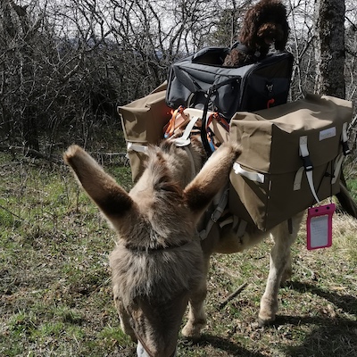 Bastillon, fabricant bât pour ânes, matériel de randonnée et travail ânes, chevaux, mules, portage enfant, portage bagages