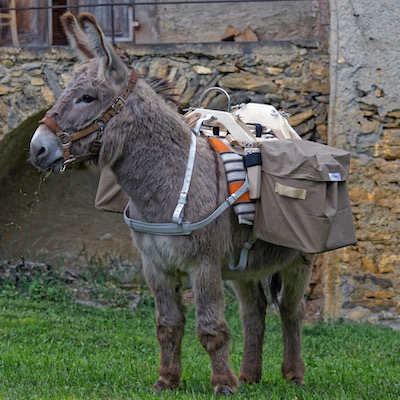 Bastillon, fabricant bât pour ânes, matériel de randonnée et travail ânes, chevaux, mules, portage enfant, portage bagages