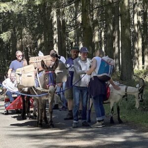 Lire la suite à propos de l’article Randonnée dans les Ardennes belges avec Escargoline, Balissandre, Cabriette