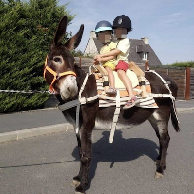 Bastillon, fabricant bât pour ânes, matériel de randonnée et travail ânes, chevaux, mules, portage enfant, portage bagages