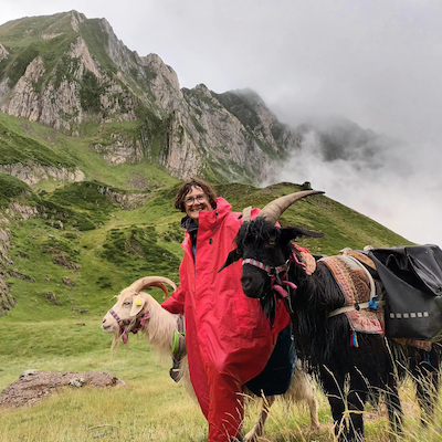 BoucsPyrénées Cabriette, bât de portage pour chèvre, bât pour boucs, bât pour petits ânes