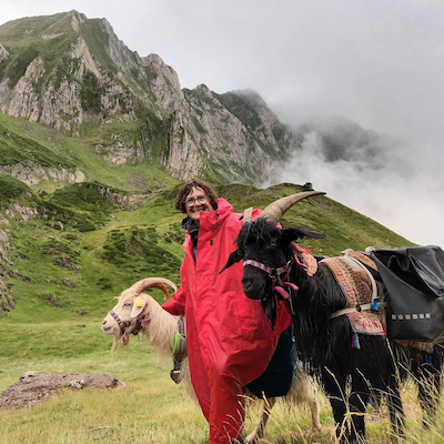 Cabriette, bât de portage pour chèvre, bât pour boucs, bât pour petits ânes