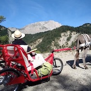 Escargoline, charrette pour personnes à mobilité réduite