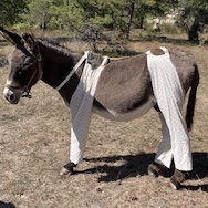 Occibraies, pantalons animaux, protection insectes