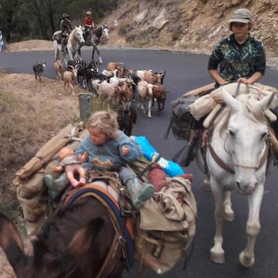 Sacoches de randonnée Bagagines lors d'une traversée de l'Espagne à cheval