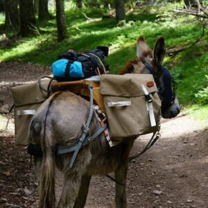 Lire la suite à propos de l’article La préparation du voyage d’Izno Zakk