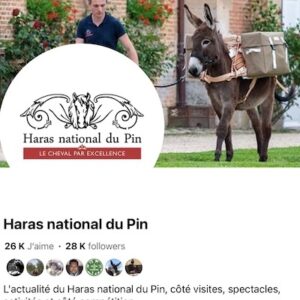 Lire la suite à propos de l’article Randoline et le Haras du Pin