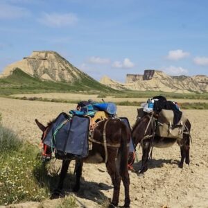 Lire la suite à propos de l’article Bastillons dans le désert des Bardenas