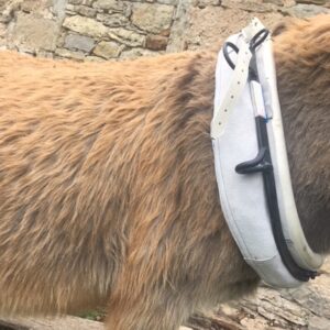 Lire la suite à propos de l’article Le Colisson Randoline, collier pour ânes et chevaux