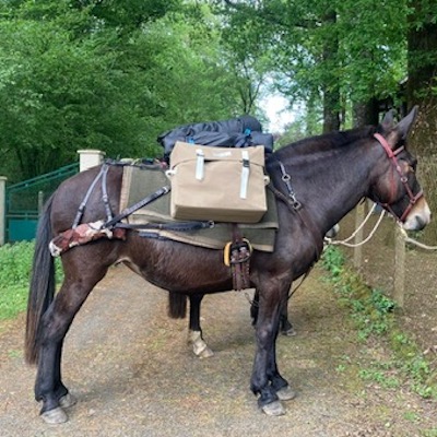 Mule de Chloé Moulin Mule de Chloé Moulin