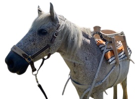 Cheval