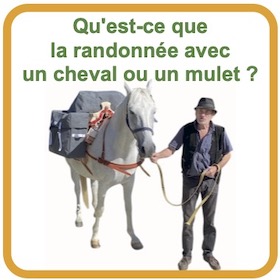 Icône randonnée avec cheval
