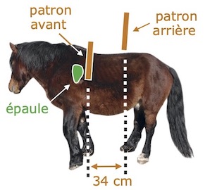 PatronAR PatronAR