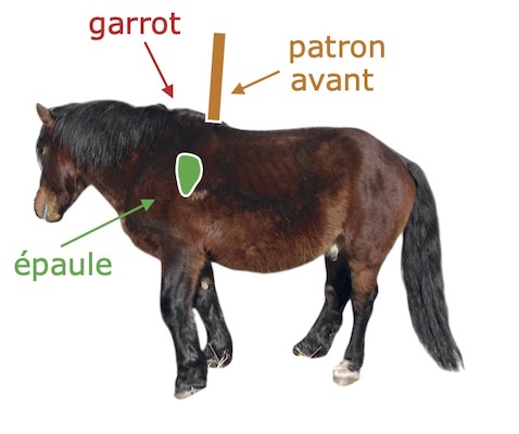 PatronAvant PatronAvant