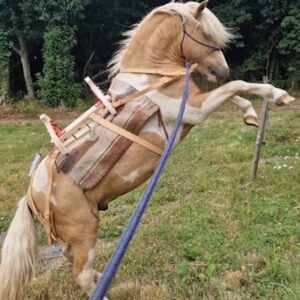 Lire la suite à propos de l’article Cabriole avec un Balaïtous…