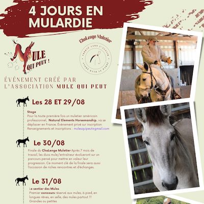 AfficheRencontresMuletièresLuchapt2025 2