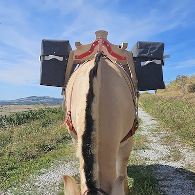 BagaginesLarchez BagaginesLarchez