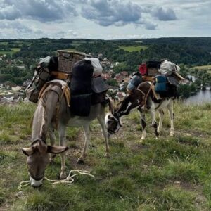 Lire la suite à propos de l’article Deux Balissandres allemands en vadrouille