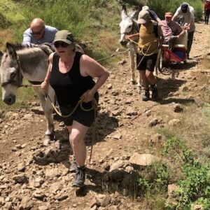 Lire la suite à propos de l’article L’Escargoline tractée par deux ânes en ligne