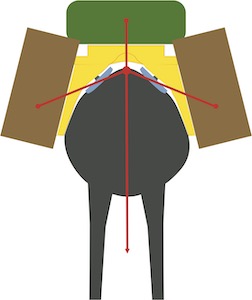 Image1