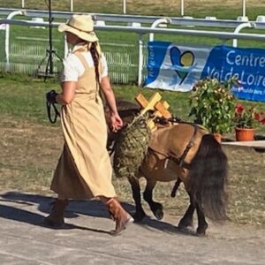 Lire la suite à propos de l’article International Shetland Poney Show 2025