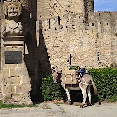 Un visiteur de Carcassonne avec des longues oreilles