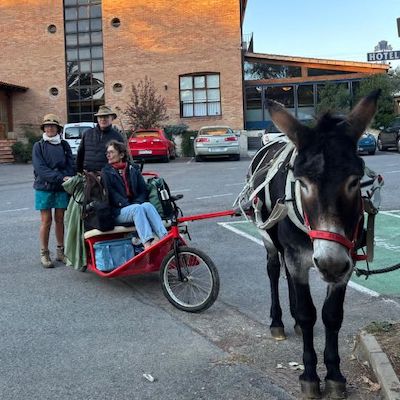 Une Escargoline en route vers Santiago