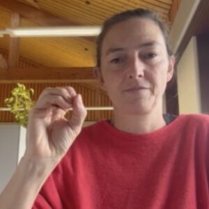 Lire la suite à propos de l’article L’Escargoline en langage des signes