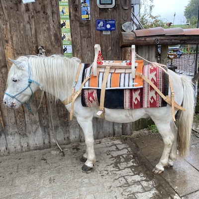 Le Balaïtous sur un joli poney souabe