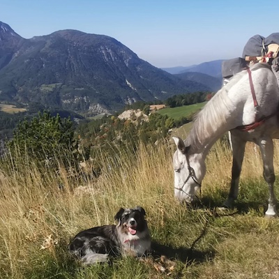 Le beau voyage d'Alicia, avec son cheval et son Bassador