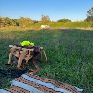 Lire la suite à propos de l’article Le bivouac