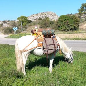Lire la suite à propos de l’article Marion, son cheval camarguais et son Balissandre