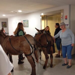 Lire la suite à propos de l’article Le Crottotype et l’Ehpad