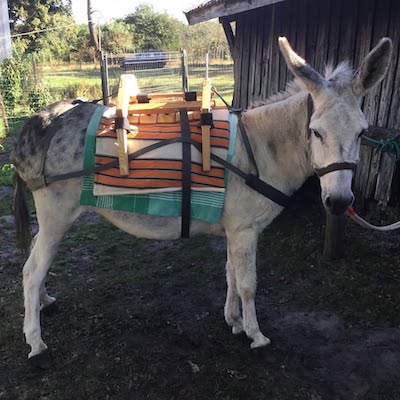 Manon part en vacances avec un Bastillon
