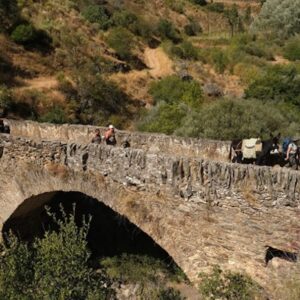 Lire la suite à propos de l’article Randonnée au Portugal avec les ânes de Miranda et la Bâtine