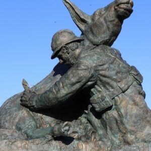 Lire la suite à propos de l’article 11 novembre 2025