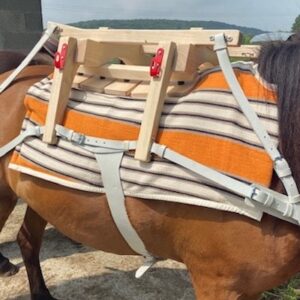 Lire la suite à propos de l’article Séquence émotion pour le Balissandre et les Bagagines, racontée par un couple de clients grands randonneurs