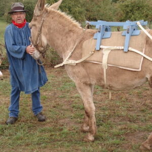 Lire la suite à propos de l’article Jacky Davezé, l’âne doré du désert et le Balissandre premier