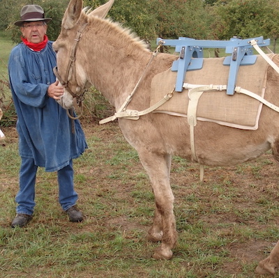 Jacky Davezé, l'âne doré du désert et le Balissandre premier