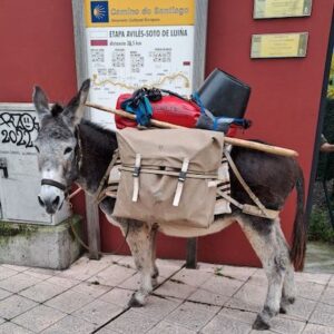 Lire la suite à propos de l’article Le matériel Randoline sur le camino del Norte