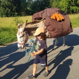 Lire la suite à propos de l’article 24 novembre 2025, il pleut dehors, parlons de la Capucine