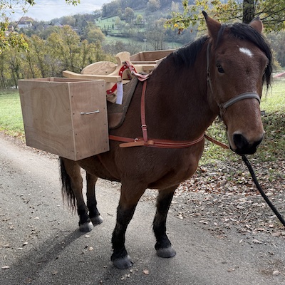 Le Bassador sur un cheval d'Auvergne